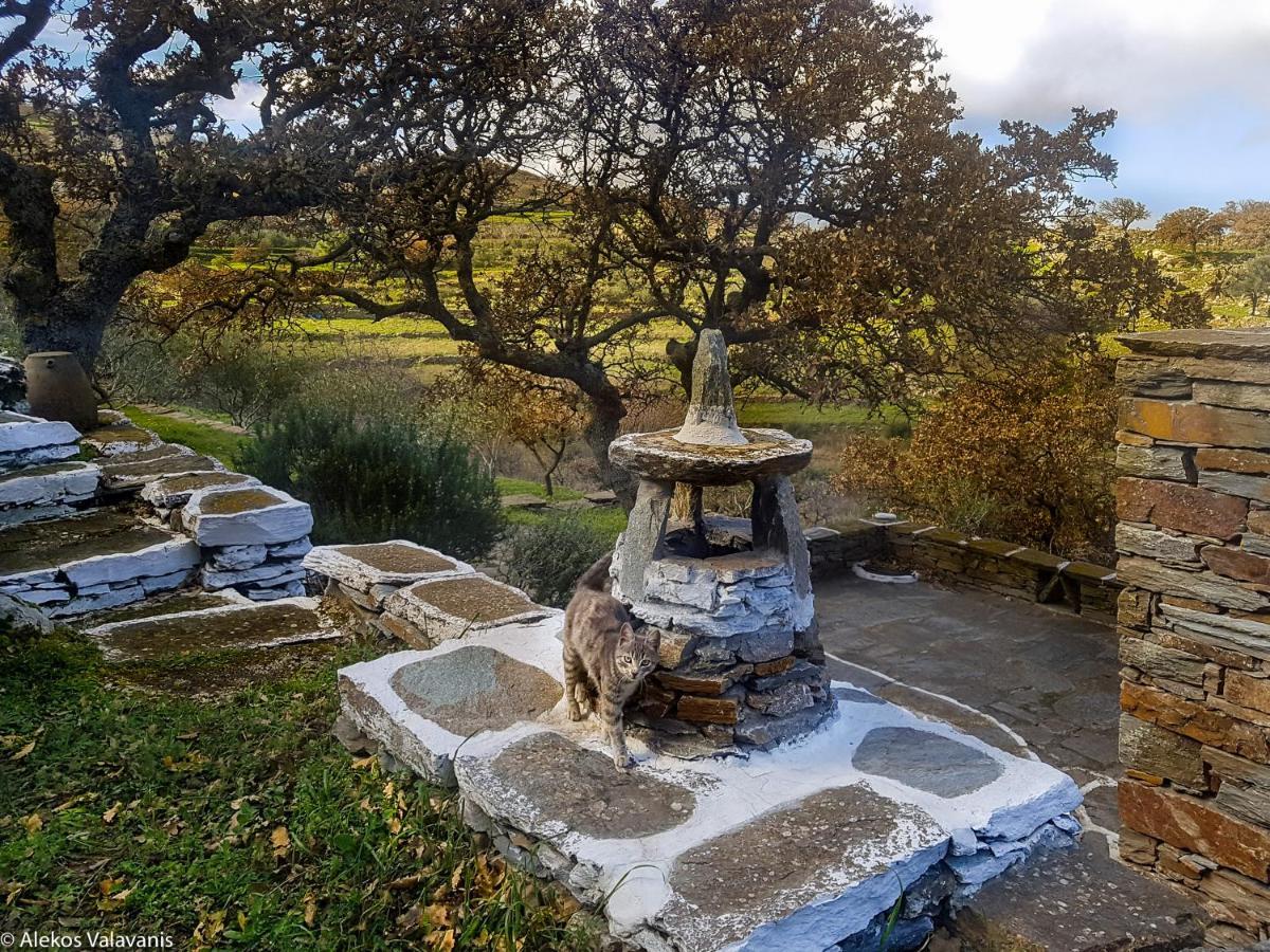 Under Royal Oaks Villa Pera Meria Exterior photo