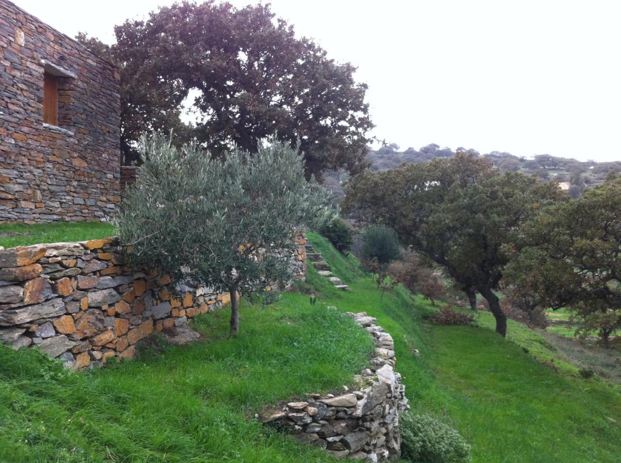 Under Royal Oaks Villa Pera Meria Exterior photo
